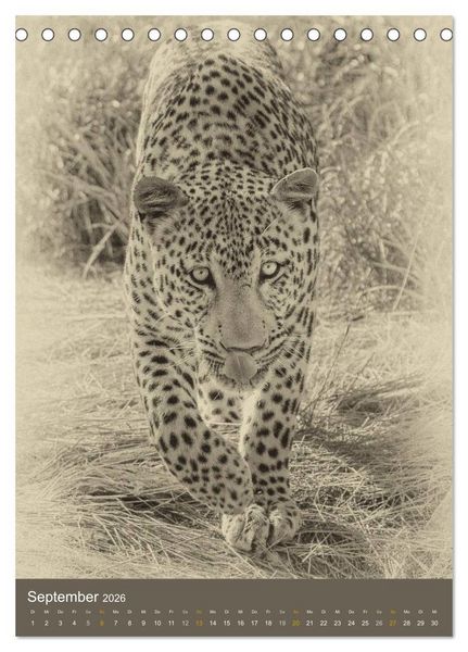 Produktbild: Afrikas Tierwelt - Sepia-Art (Tischkalender 2026 DIN A5 hoch), CALVENDO Monatskalender