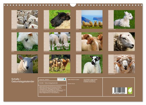 Produktbild: Schafe / Geburtstagskalender (Wandkalender 2026 DIN A3 quer), CALVENDO Monatskalender