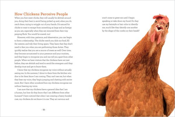Produktbild: How to Read a Chicken's Mind