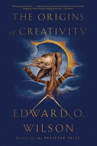Produktbild: The Origins of Creativity