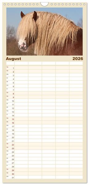 Produktbild: Familienplaner 2026 - Kaltblut - schwere Pferde mit Herz mit 5 Spalten (Wandkalender, 21 x 45 cm) CALVENDO