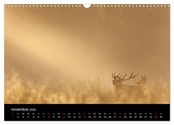 Produktbild: Tr&eacute;sors des Vosges (Calendrier mural 2026 DIN A3 vertical), CALVENDO calendrier mensuel