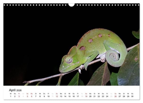 Produktbild: Traumwelt Madagaskar (Wandkalender 2026 DIN A3 quer), CALVENDO Monatskalender