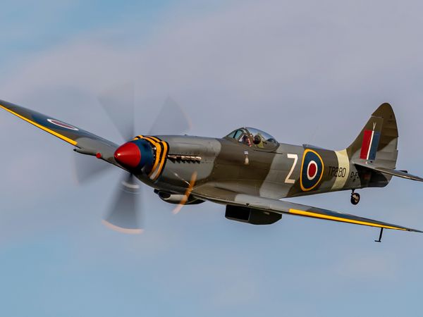Produktbild: CALVENDO Puzzle Supermarine Spitfire FR Mk.XVIIIe, Hangar 10 Collection | 1000 Teile Lege-Gr&ouml;&szlig;e 64x48cm Foto-Puzzle f&uuml;r gl&uuml;ckliche Stunden