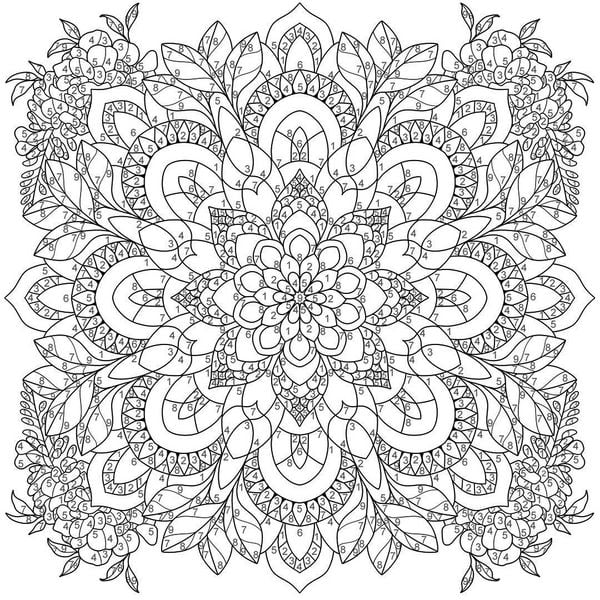 Produktbild: Mandala-Reise