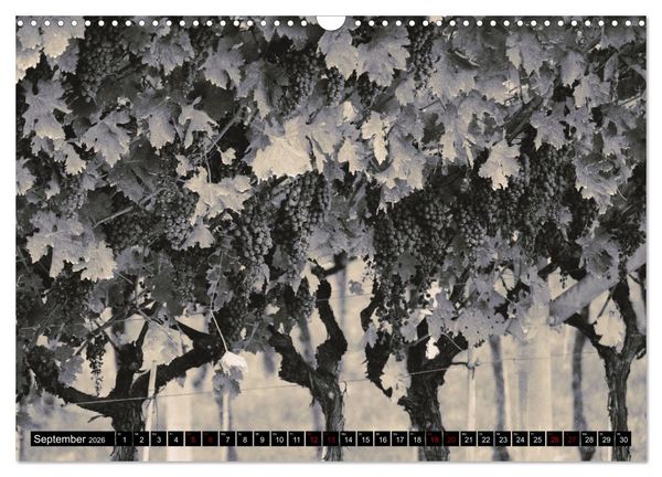 Produktbild: Romantisches Italien (Wandkalender 2026 DIN A3 quer), CALVENDO Monatskalender