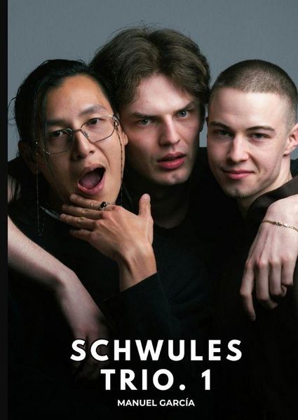 Produktbild: Schwules Trio. 1