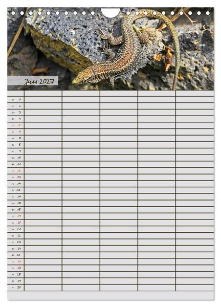 Produktbild: Tierischer Familienplaner (Wandkalender 2027 DIN A4 hoch), CALVENDO Monatskalender