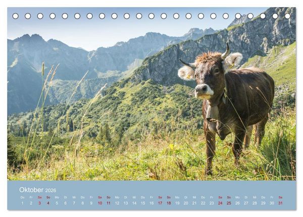 Produktbild: Heimweh Allg&auml;u 2026 (Tischkalender 2026 DIN A5 quer), CALVENDO Monatskalender