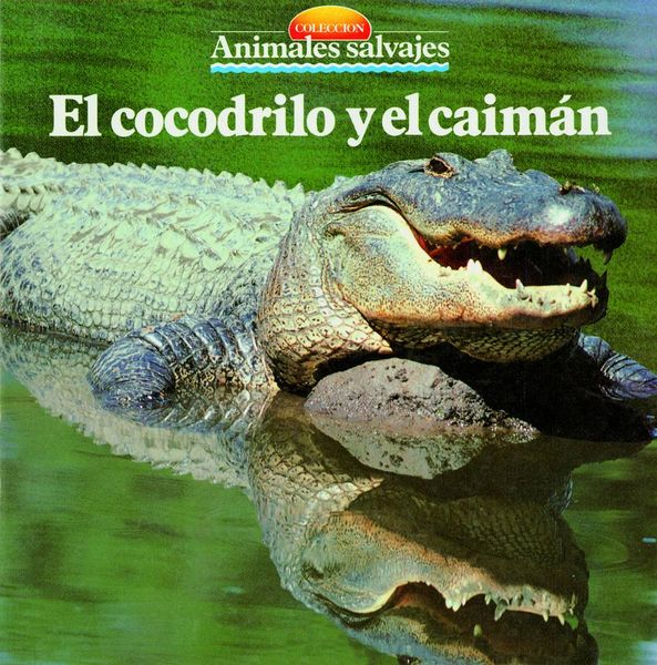 Produktbild: El cocodrilo y el caim&aacute;n