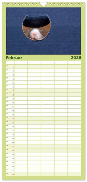 Produktbild: Familienplaner 2026 - S&uuml;&szlig;e M&auml;use und Coole Ratten mit 5 Spalten (Wandkalender, 21 x 45 cm) CALVENDO