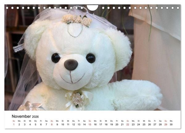 Produktbild: Teddys...jeder liebt sie (Wandkalender 2026 DIN A4 quer), CALVENDO Monatskalender
