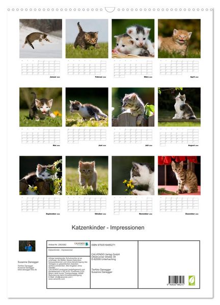 Produktbild: Katzenkinder - Impressionen (Wandkalender 2026 DIN A2 hoch), CALVENDO Monatskalender
