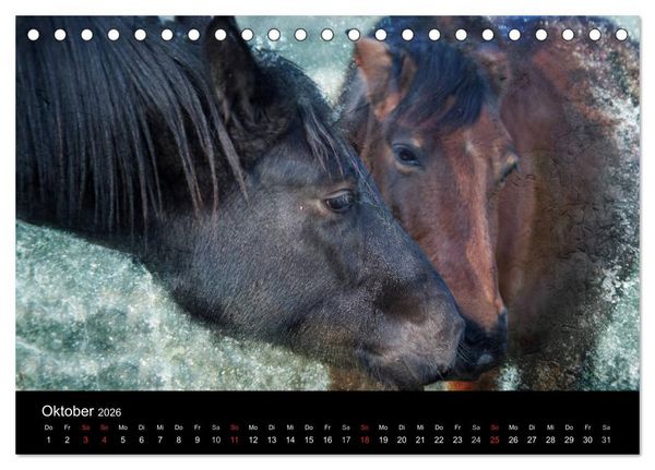 Produktbild: Pferde zum Tr&auml;umen (Tischkalender 2026 DIN A5 quer), CALVENDO Monatskalender