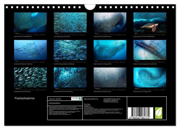 Produktbild: Fischschw&auml;rme (Wandkalender 2026 DIN A4 quer), CALVENDO Monatskalender