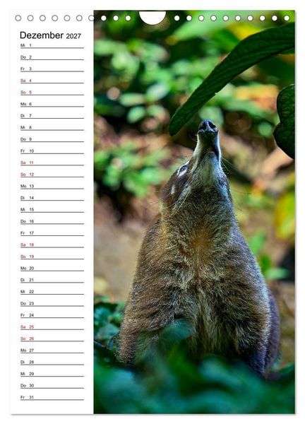Produktbild: Costa Rica - Magische Tiere des Regenwaldes (Wandkalender 2027 DIN A4 hoch), CALVENDO Monatskalender