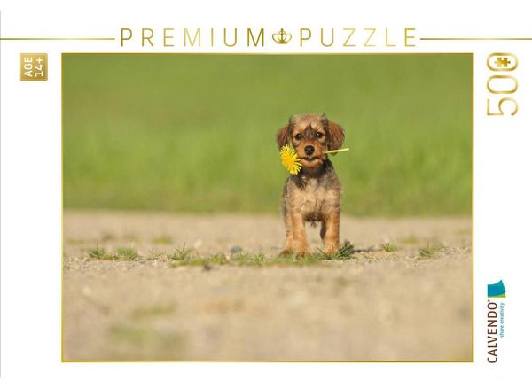 CALVENDO Puzzle Ein Blümchen für Euch | 500 Teile Lege-Größe 48 × 36 cm Foto-Puzzle für Erwachsene