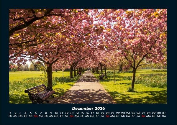 Produktbild: B&auml;ume 2026 Fotokalender DIN A4