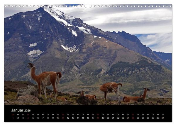 Produktbild: Im Nationalpark Torres del Paine (Chile) (Wandkalender 2026 DIN A3 quer), CALVENDO Monatskalender