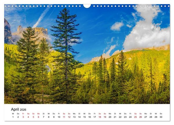 Produktbild: W&auml;lder: die letzte Zuflucht f&uuml;r die Wildnis (Wandkalender 2026 DIN A3 quer), CALVENDO Monatskalender