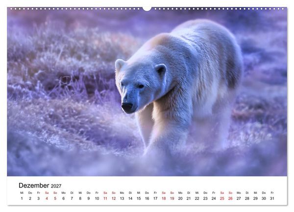 Produktbild: K&ouml;nige des Nordens - Begegnungen mit Eisb&auml;ren (Wandkalender 2027 DIN A2 quer), CALVENDO Monatskalender