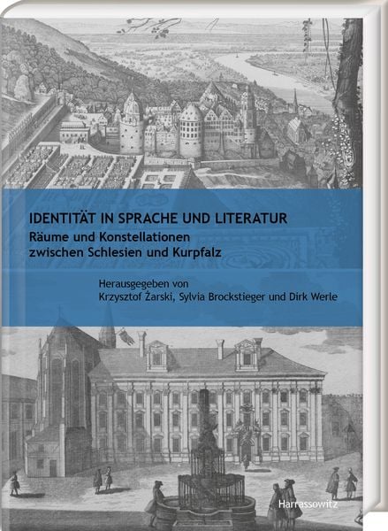 Produktbild: Identit&auml;t in Sprache und Literatur