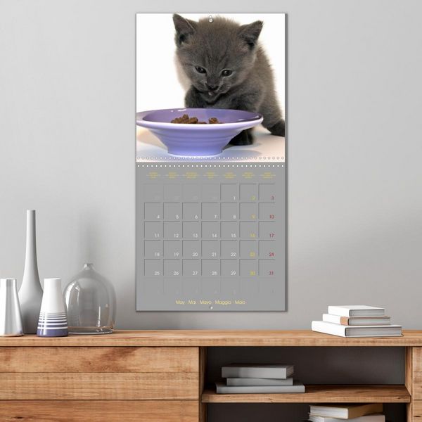 Produktbild: La vie de chatons (Calendrier mural carr&eacute; 2026 30x30 cm) Calendrier double avec une page pour vos prises de notes