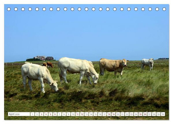 Produktbild: Sommertage auf Langeness (Tischkalender 2026 DIN A5 quer), CALVENDO Monatskalender