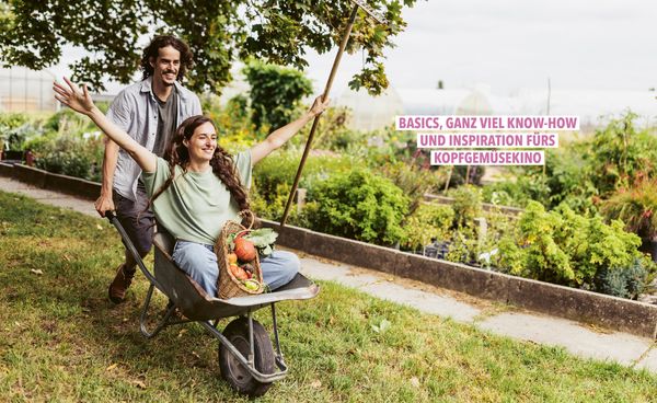 Produktbild: Das ph&auml;nomenale Erntebeet
