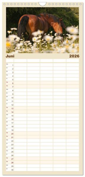 Produktbild: Familienplaner 2026 - Kaltblut - schwere Pferde mit Herz mit 5 Spalten (Wandkalender, 21 x 45 cm) CALVENDO