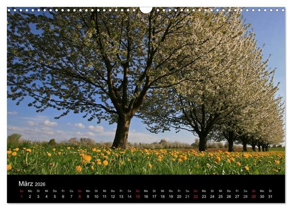 Produktbild: Die Ortenau (Wandkalender 2026 DIN A3 quer), CALVENDO Monatskalender