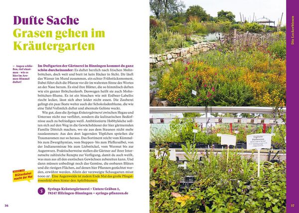 Produktbild: MARCO POLO Insider-Trips Bodensee