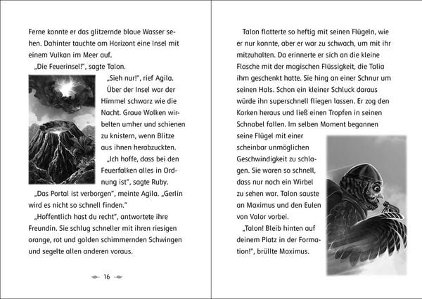 Produktbild: Der letzte Feuerfalke und das magische Ei (Band 13)