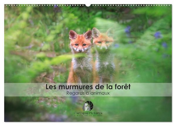 Produktbild: Les murmures de la for&ecirc;t - Regards d'animaux (Calendrier mural 2027 DIN A2 vertical), CALVENDO calendrier mensuel