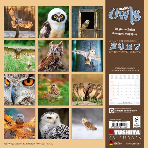 Produktbild: Magic Owls 2027