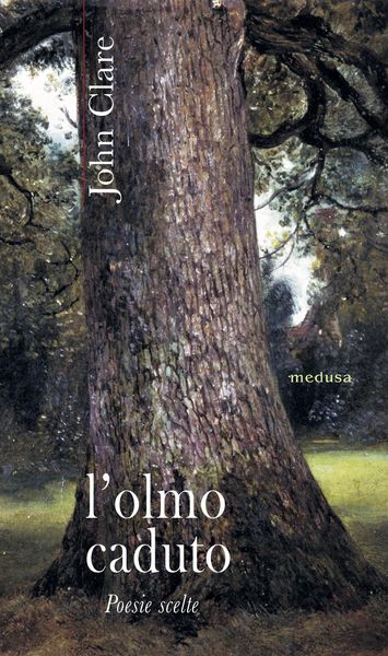 Produktbild: L' olmo caduto. Poesie scelte