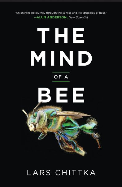 Produktbild: The Mind of a Bee