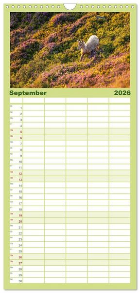 Produktbild: Familienplaner 2026 - Steinbock - K&ouml;nig der Alpen mit 5 Spalten (Wandkalender, 21 x 45 cm) CALVENDO