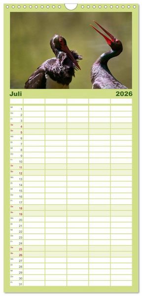 Produktbild: Familienplaner 2026 - Das faszinierende Reich der V&ouml;gel mit 5 Spalten (Wandkalender, 21 x 45 cm) CALVENDO