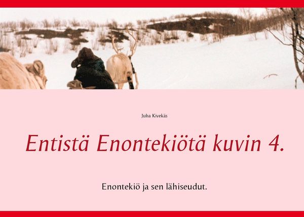 Produktbild: Entist&auml; Enonteki&ouml;t&auml; kuvin 4.