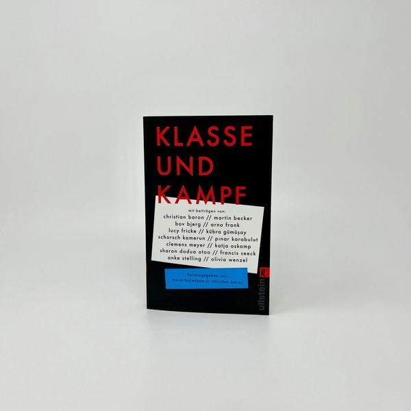 Produktbild: Klasse und Kampf