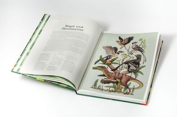 Produktbild: Das Museum der V&ouml;gel