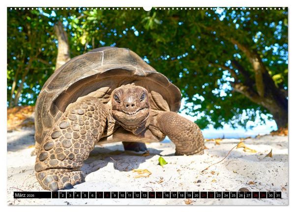 Produktbild: Seychellen Inselblicke (Wandkalender 2026 DIN A2 quer), CALVENDO Monatskalender