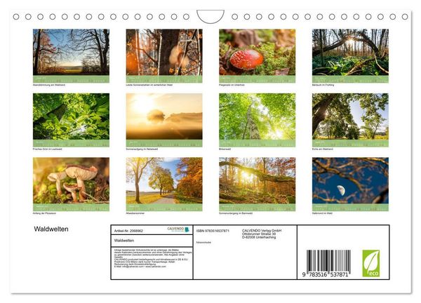 Produktbild: Waldwelten (Wandkalender 2026 DIN A4 quer), CALVENDO Monatskalender