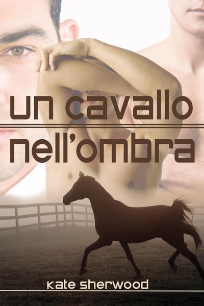 Produktbild: Un cavallo nell'ombra