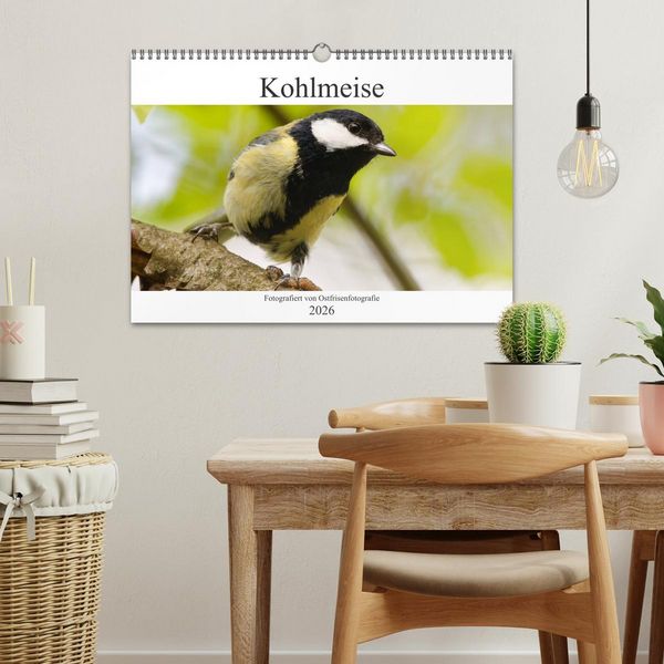 Produktbild: Kohlmeise - Fotografiert von Ostfriesenfotografie (Wandkalender 2026 DIN A3 quer), CALVENDO Monatskalender