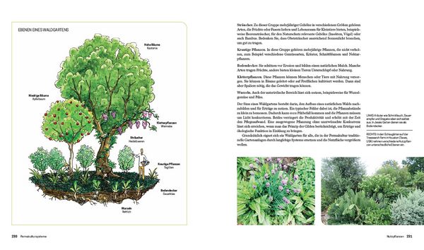 Produktbild: Praxisbuch Permakultur