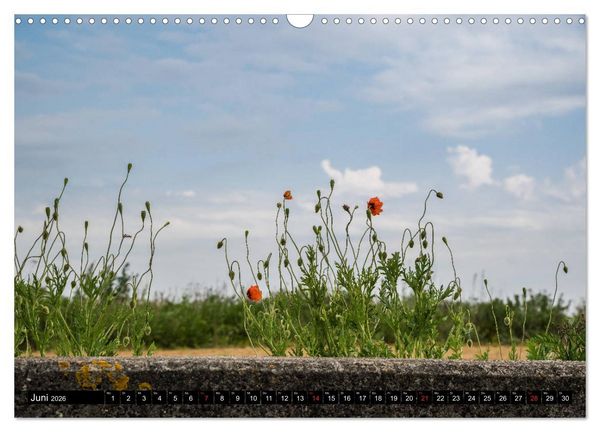 Produktbild: Urlaub auf R&ouml;m&ouml; (Wandkalender 2026 DIN A3 quer), CALVENDO Monatskalender