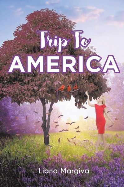 Produktbild: Trip to America