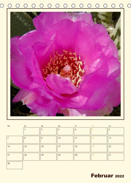 Produktbild: Wilde Kakteen Amerikas (Tischkalender 2022 DIN A5 hoch)